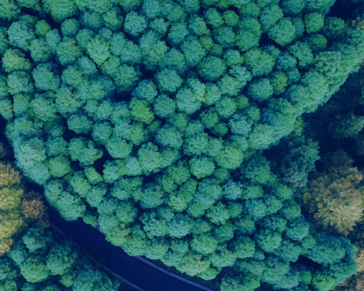 誠信為本，不忘初心